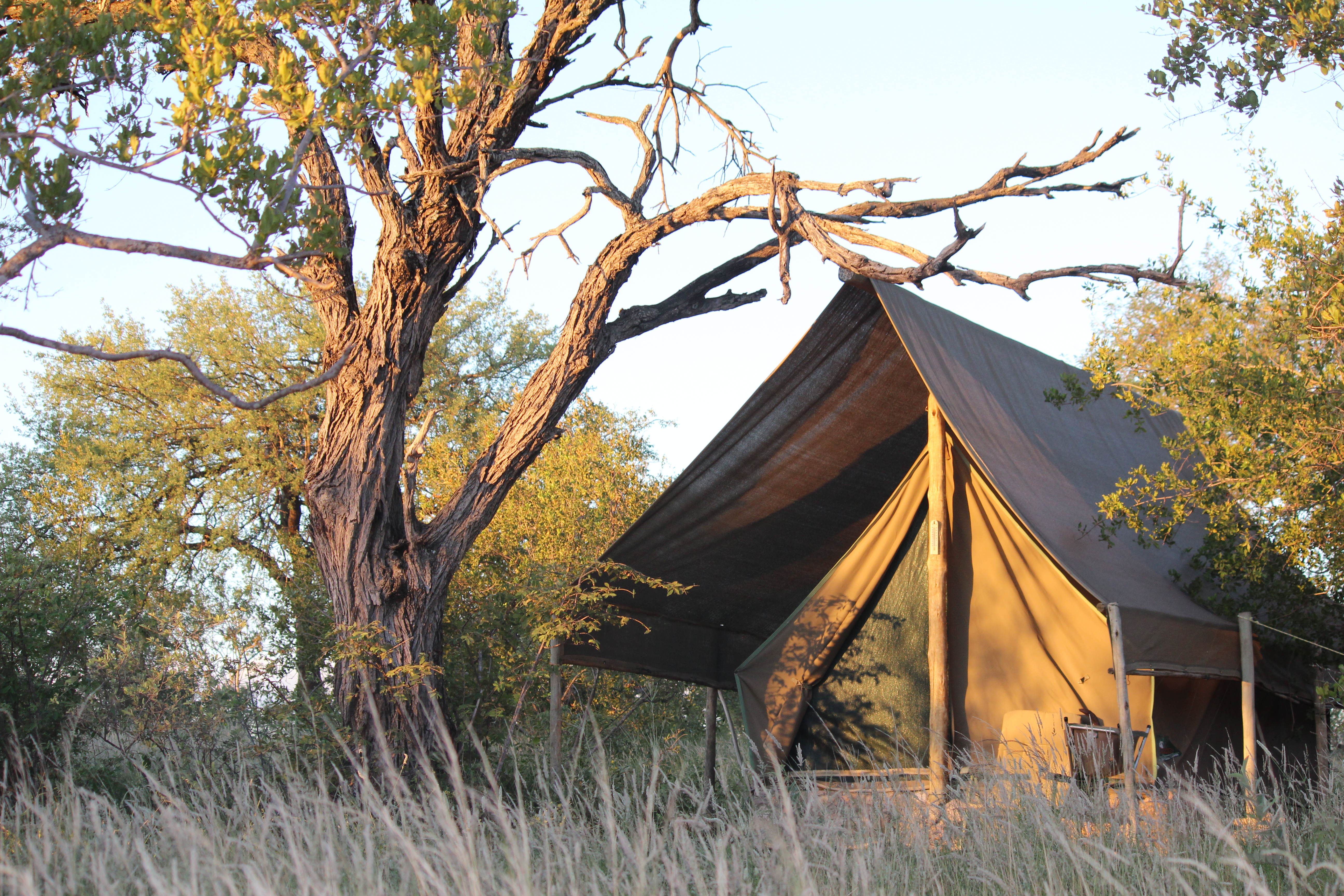 Busch Camping in Südafrikas Krüger Park bei einer Wander Safari
